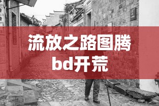流放之路图腾bd开荒  第1张
