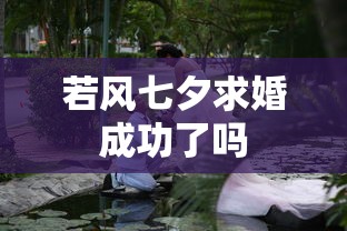 若风七夕求婚成功了吗  第1张