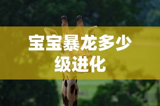 宝宝暴龙多少级进化  第1张
