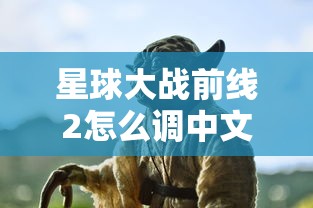 梦幻红楼 廊坊  第1张