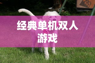 经典单机双人游戏  第1张