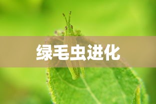 绿毛虫进化  第1张