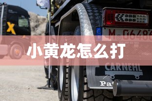 小黄龙怎么打  第1张