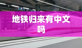 地铁归来有中文吗  第1张
