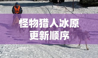 290是多大鞋码  第1张