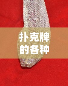扑克牌的各种玩法及规则  第1张
