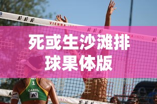 死或生沙滩排球果体版  第1张