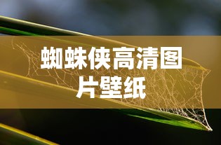 来而不往非礼也一句定三码  第1张