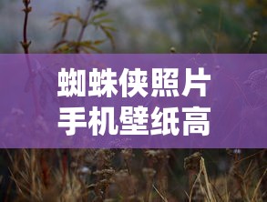 蜘蛛侠照片手机壁纸高清  第1张