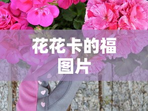 探索者的牢笼动漫观看免费  第1张