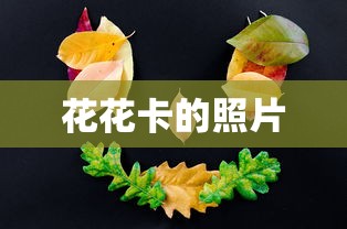 花花卡的照片  第1张
