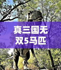真三国无双5马匹排行榜  第1张