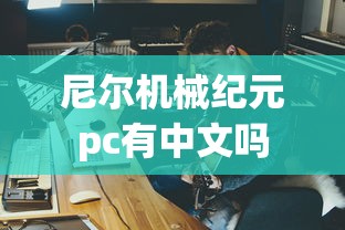 尼尔机械纪元pc有中文吗  第1张