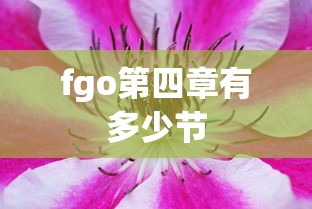 fgo第四章有多少节  第1张
