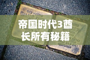 帝国时代3酋长所有秘籍  第1张