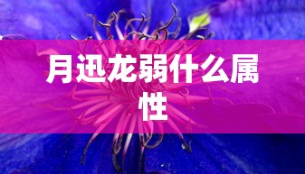 月迅龙弱什么属性  第1张