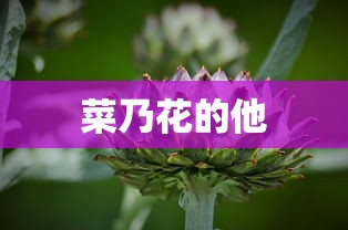 菜乃花的他  第1张