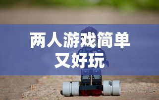 黑白羽翼游戏  第1张