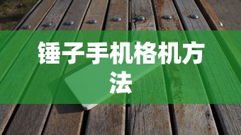 锤子手机格机方法  第1张