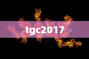 tgc2017  第1张