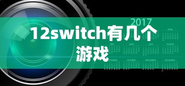 12switch有几个游戏  第1张