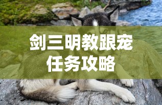 发现4路虎2024款  第1张