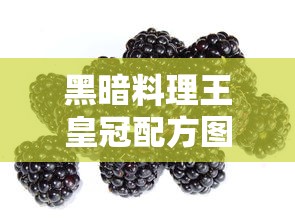 黑暗料理王皇冠配方图鉴大全  第1张