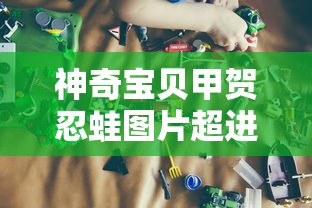 神奇宝贝甲贺忍蛙图片超进化  第1张