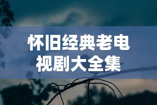 怀旧经典老电视剧大全集  第1张