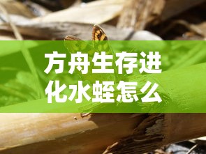 蔚然成风  第1张