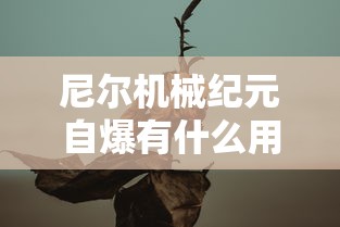 尼尔机械纪元自爆有什么用  第1张