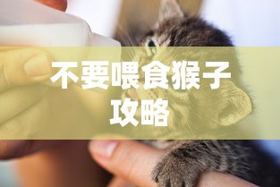 不要喂食猴子攻略  第1张