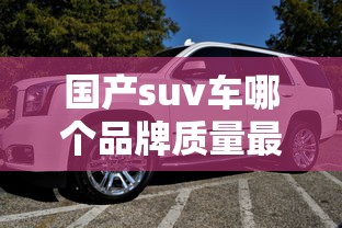 国产suv车哪个品牌质量最好  第1张