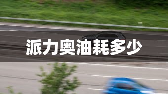 派力奥油耗多少  第1张