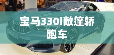 宝马330i敞篷轿跑车  第1张