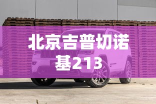北京吉普切诺基213  第1张