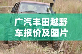 广汽丰田越野车报价及图片  第1张