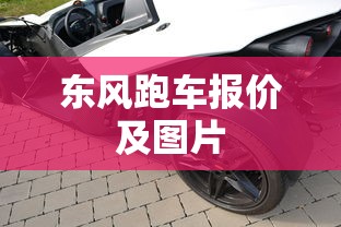 东风跑车报价及图片  第1张