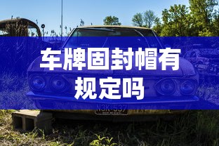 车牌固封帽有规定吗  第1张
