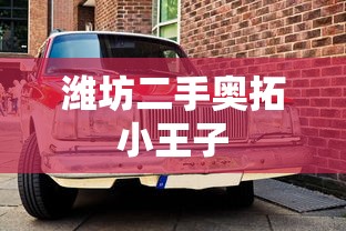 潍坊二手奥拓小王子  第1张