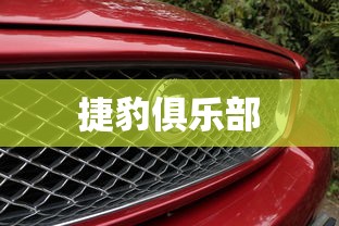 捷豹俱乐部  第1张