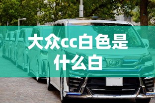 大众cc白色是什么白  第1张