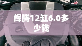 辉腾12缸6.0多少钱  第1张