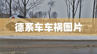 德系车车祸图片  第1张