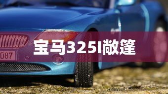 宝马325I敞篷  第1张