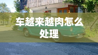 车越来越肉怎么处理  第1张