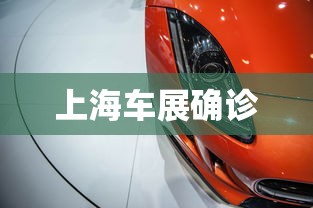 上海车展确诊  第1张