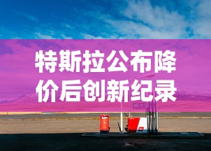 特斯拉公布降价后创新纪录是什么  第1张