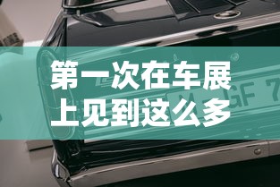 第一次在车展上见到这么多外国人英语  第1张