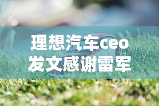 理想汽车ceo发文感谢雷军的话  第1张